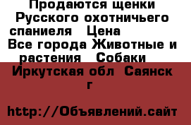 Продаются щенки Русского охотничьего спаниеля › Цена ­ 25 000 - Все города Животные и растения » Собаки   . Иркутская обл.,Саянск г.